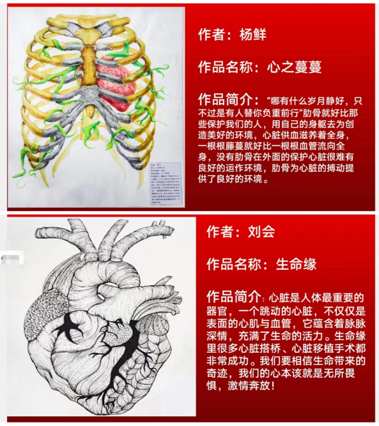 弘扬解剖文化 推动医学科普 ——我院召开第一届人体解剖绘图大赛表彰大会暨 2022年职业教育活动周总结会(图6) 弘扬解剖文化 推动医学科普 ——我院召开第一届人体解剖绘图大赛表彰大会暨 2022年职业教育活动周总结会(图6)