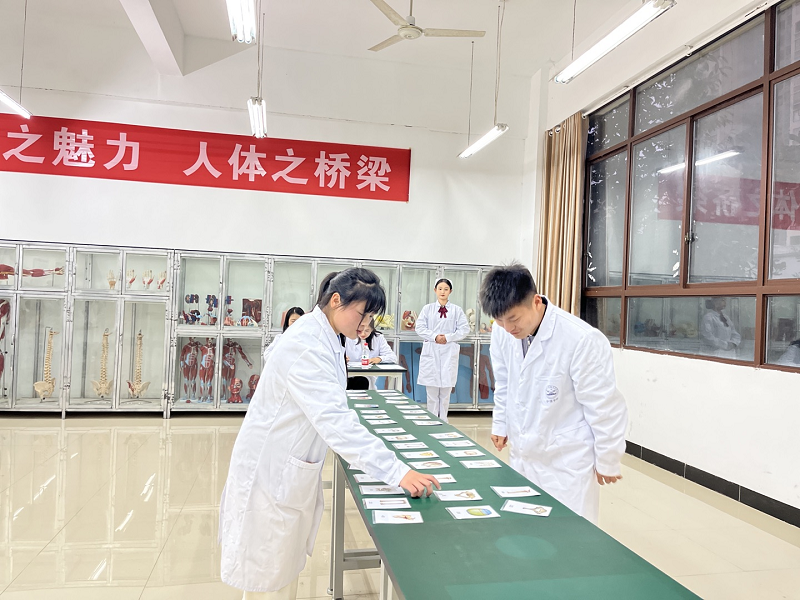 骨学之魅力·人体之桥梁——护理药学院成功举办mk体育(中国)官方网站第一届人体骨骼辨识大赛开幕式暨初赛(图10) 骨学之魅力·人体之桥梁——护理药学院成功举办mk体育(中国)官方网站第一届人体骨骼辨识大赛开幕式暨初赛(图10)
